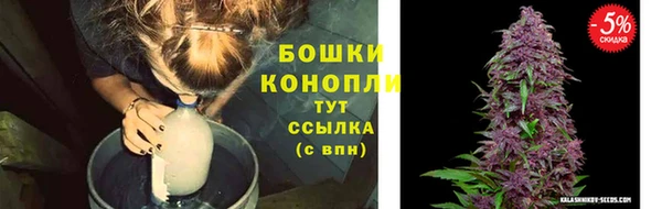 марки nbome Ельня