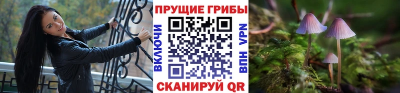 Галлюциногенные грибы Psilocybine cubensis  Купить  Инза 